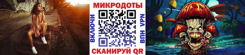 где купить   Сортавала  Галлюциногенные грибы Psilocybe 